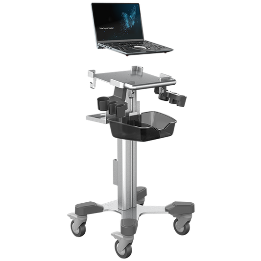 Échographe Doppler Couleur Portable CHISON SonoBook 7 avec Sonde Cardiaque P2-V 2.5 MHz