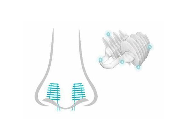 Abena - Bouchons de nez transparents, parfumés au menthol